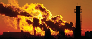 Environmental Toxins: An Unfortunate Fact Of Life